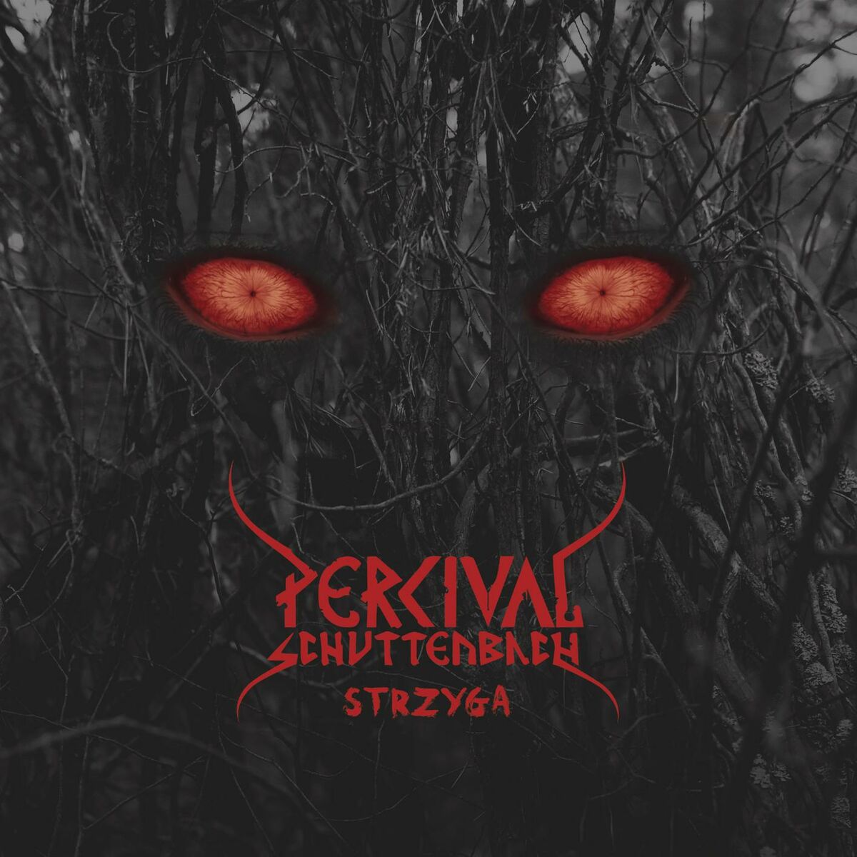 Album cover of Strzyga
