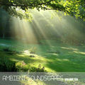 Ambient SoundScape, Volume 10