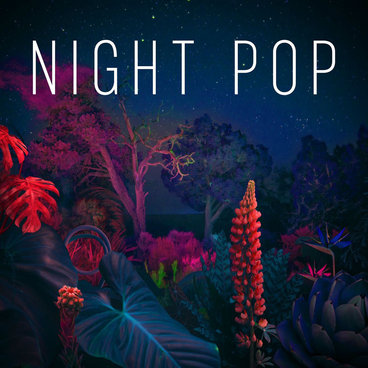 Album cover of Night Pop