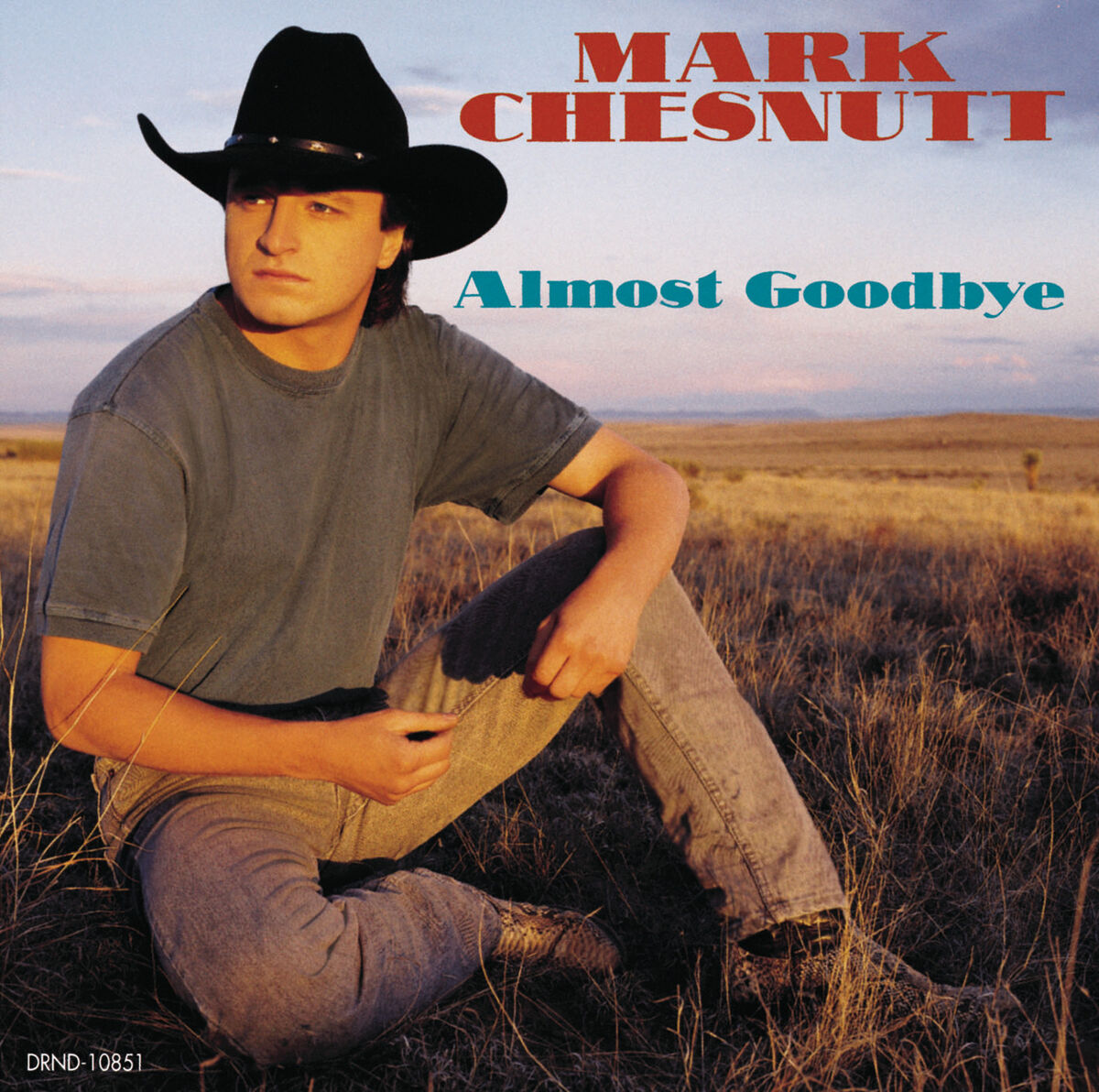 Mark Chesnutt Singles 1990 - 1994 Rare Promo Only CD In Like New online Condition