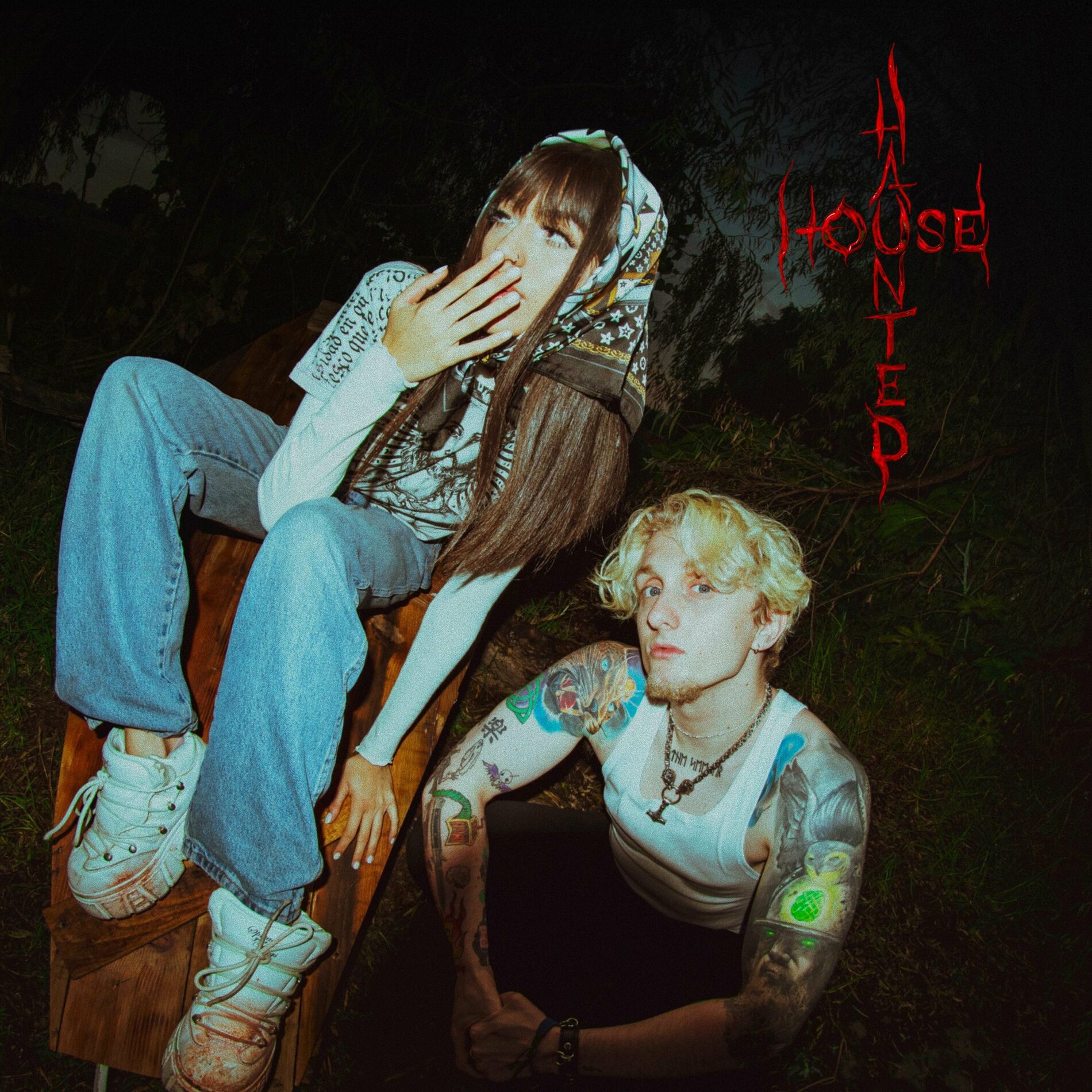 Album cover of Haunted House