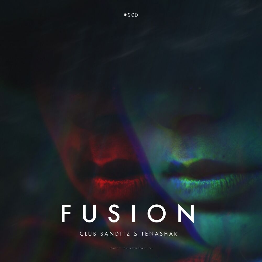 Picture of Fusion