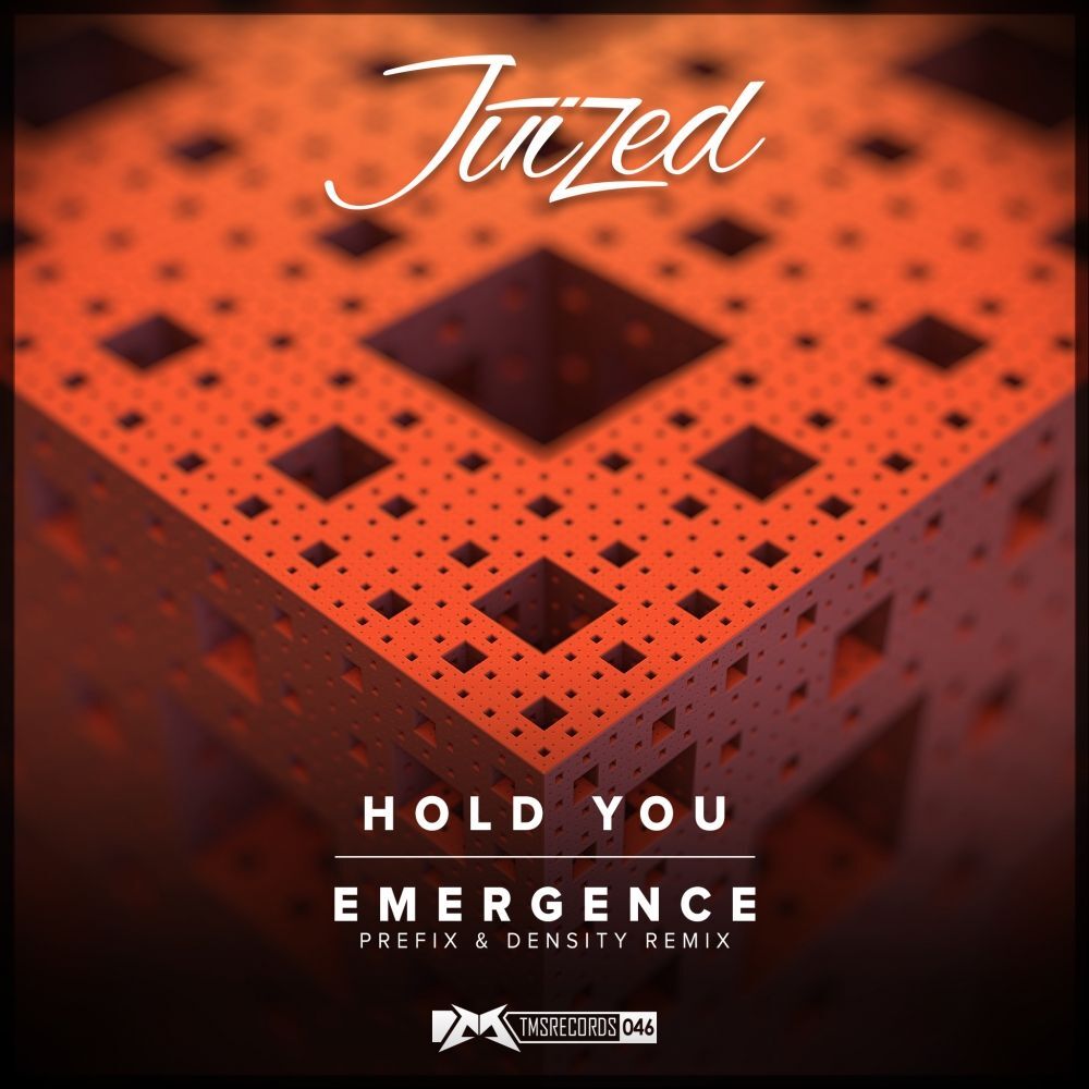 Picture of Hold You