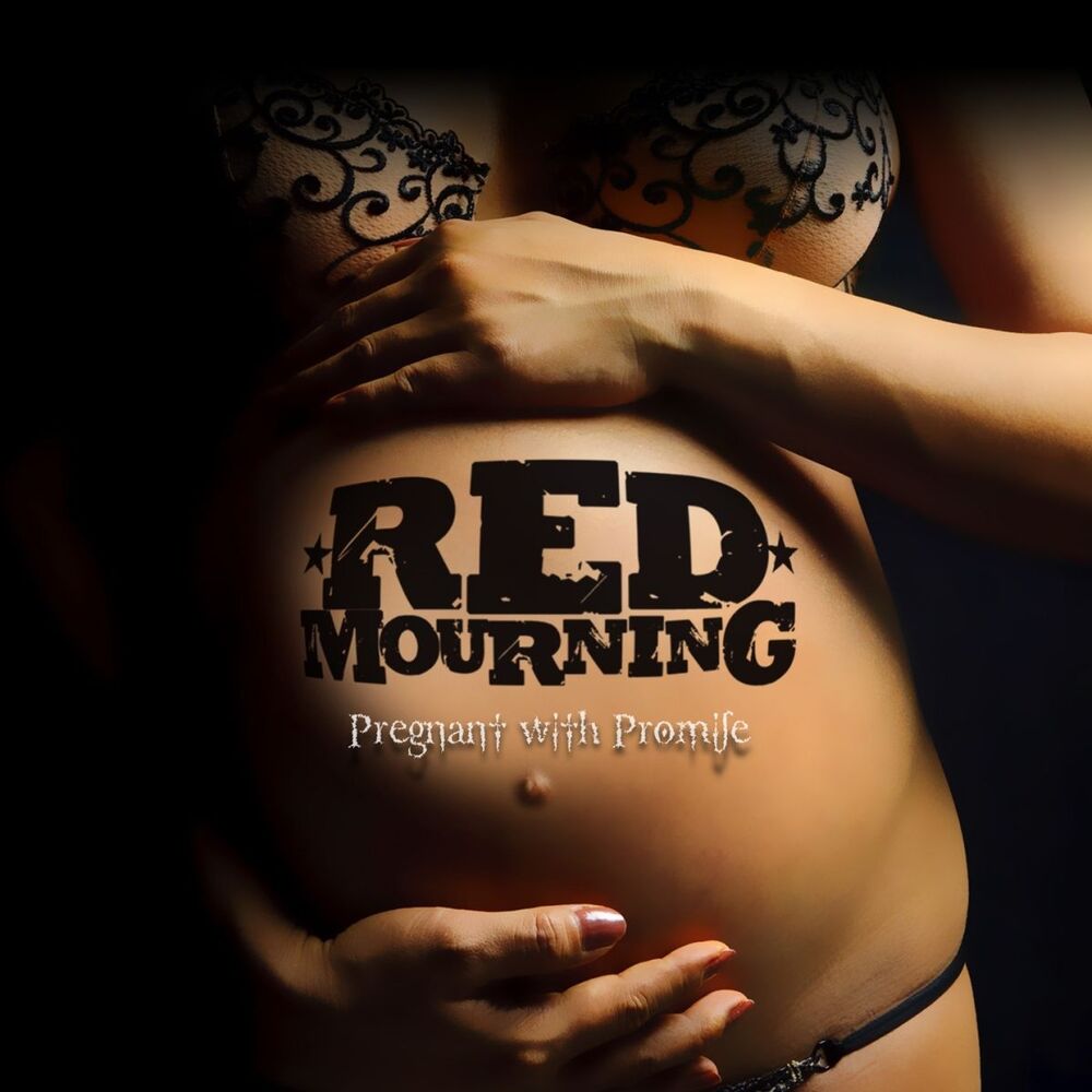 Picture of Pregnant With Promise