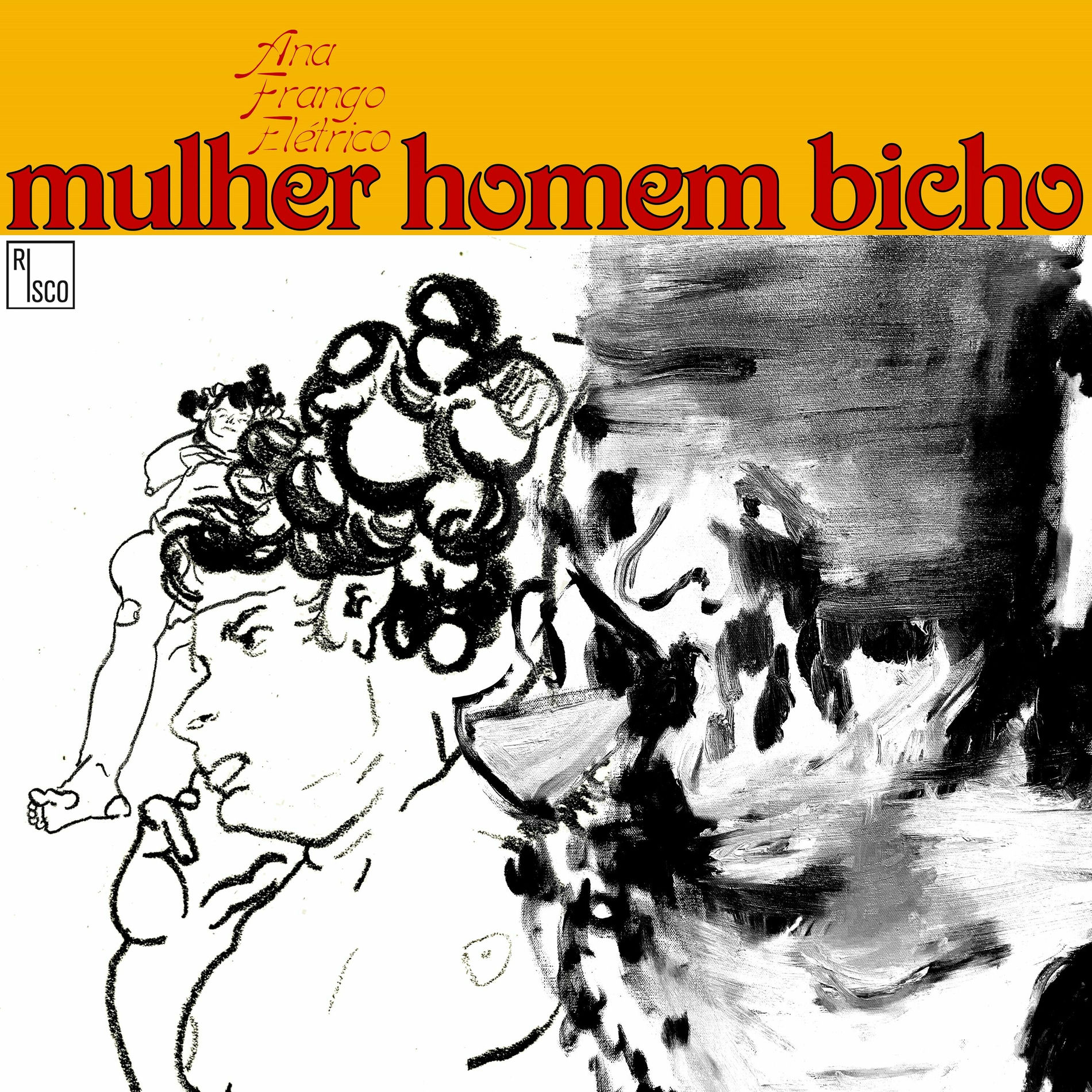 Album cover of Mulher Homem Bicho
