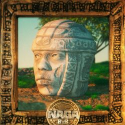 Cover of NAGA