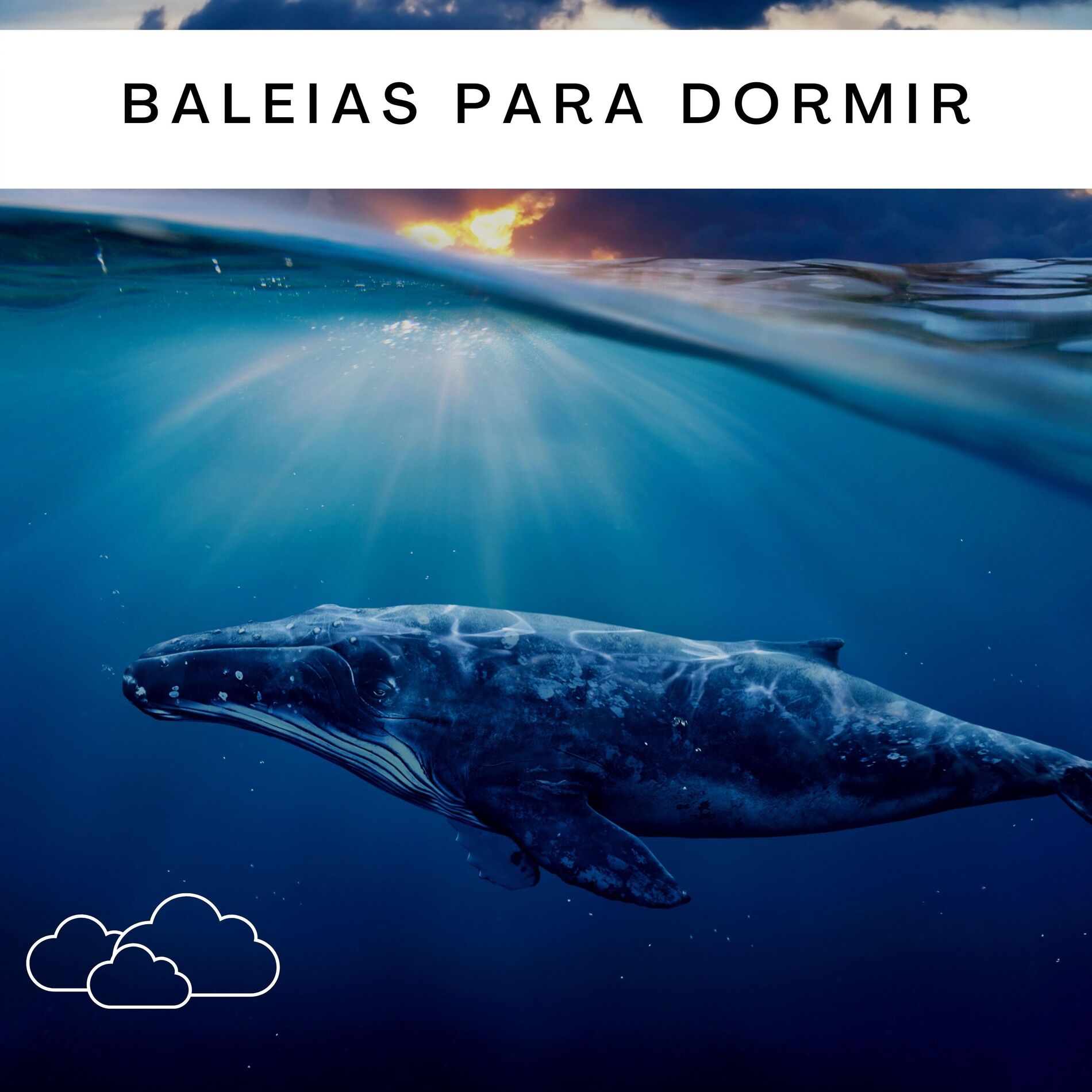 Album cover of Baleias para Dormir