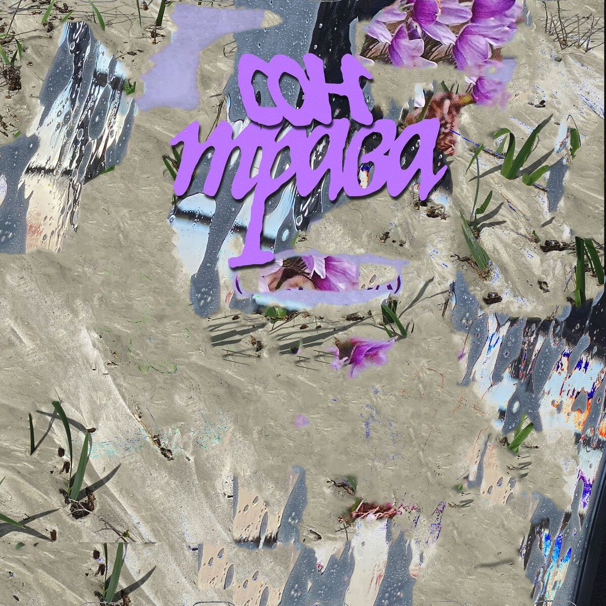 Album cover of Сон-трава