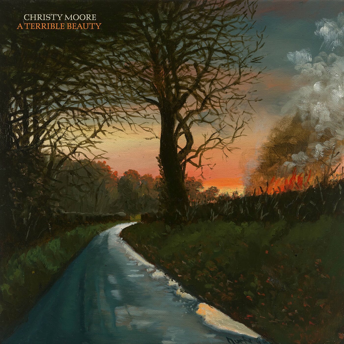 Album cover of A Terrible Beauty