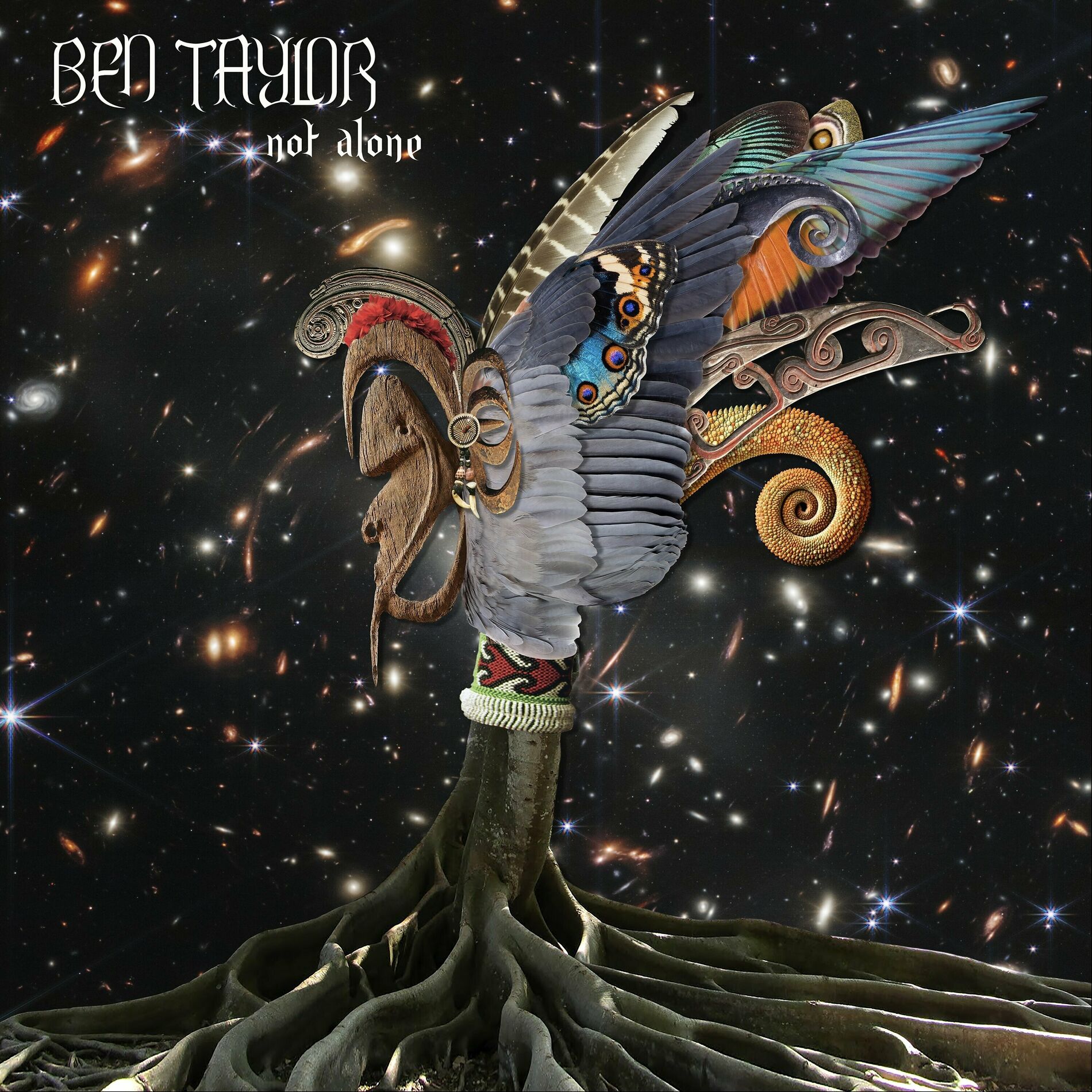 Album cover of Not Alone