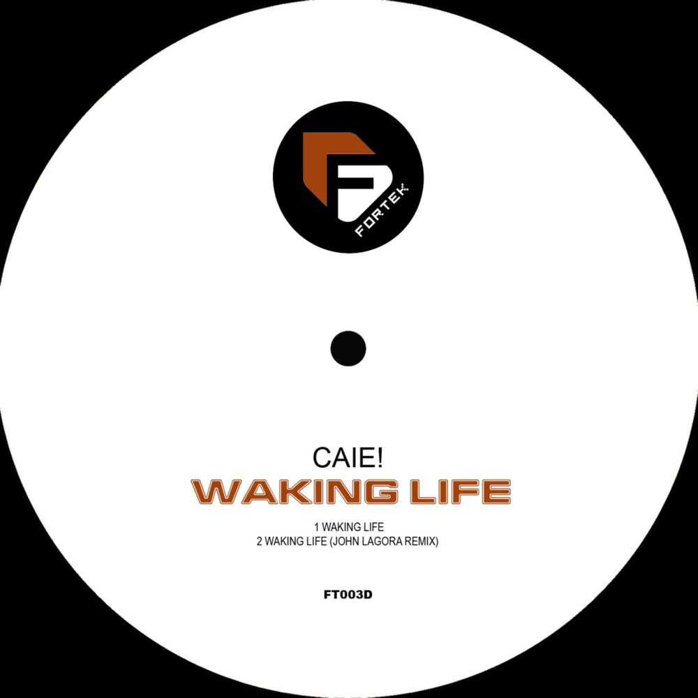 Picture of Waking Life