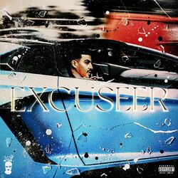 Cover of Excuseer