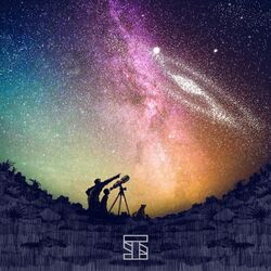 Cover of Timelines