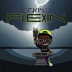 Cover of Flexin