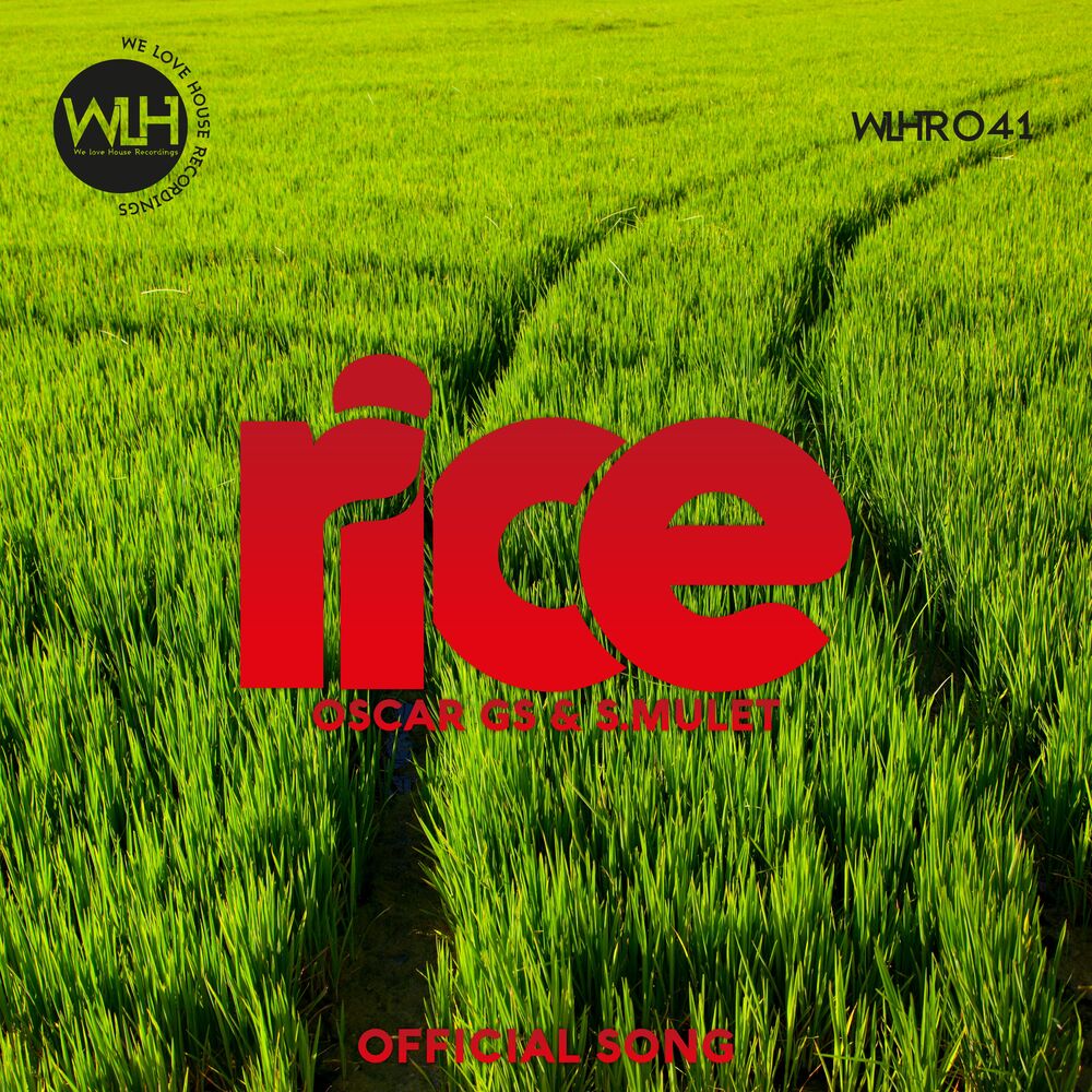 Picture of Rice