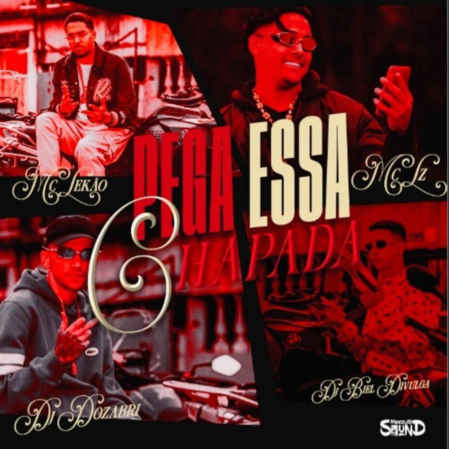 Album cover of Pega Essa Chapada