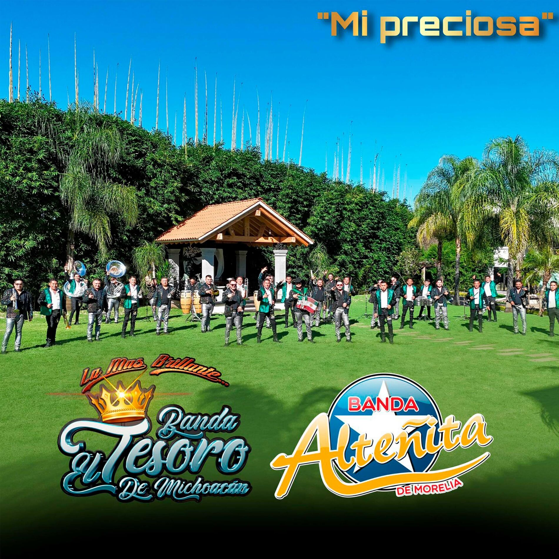 Album cover of Mi Preciosa