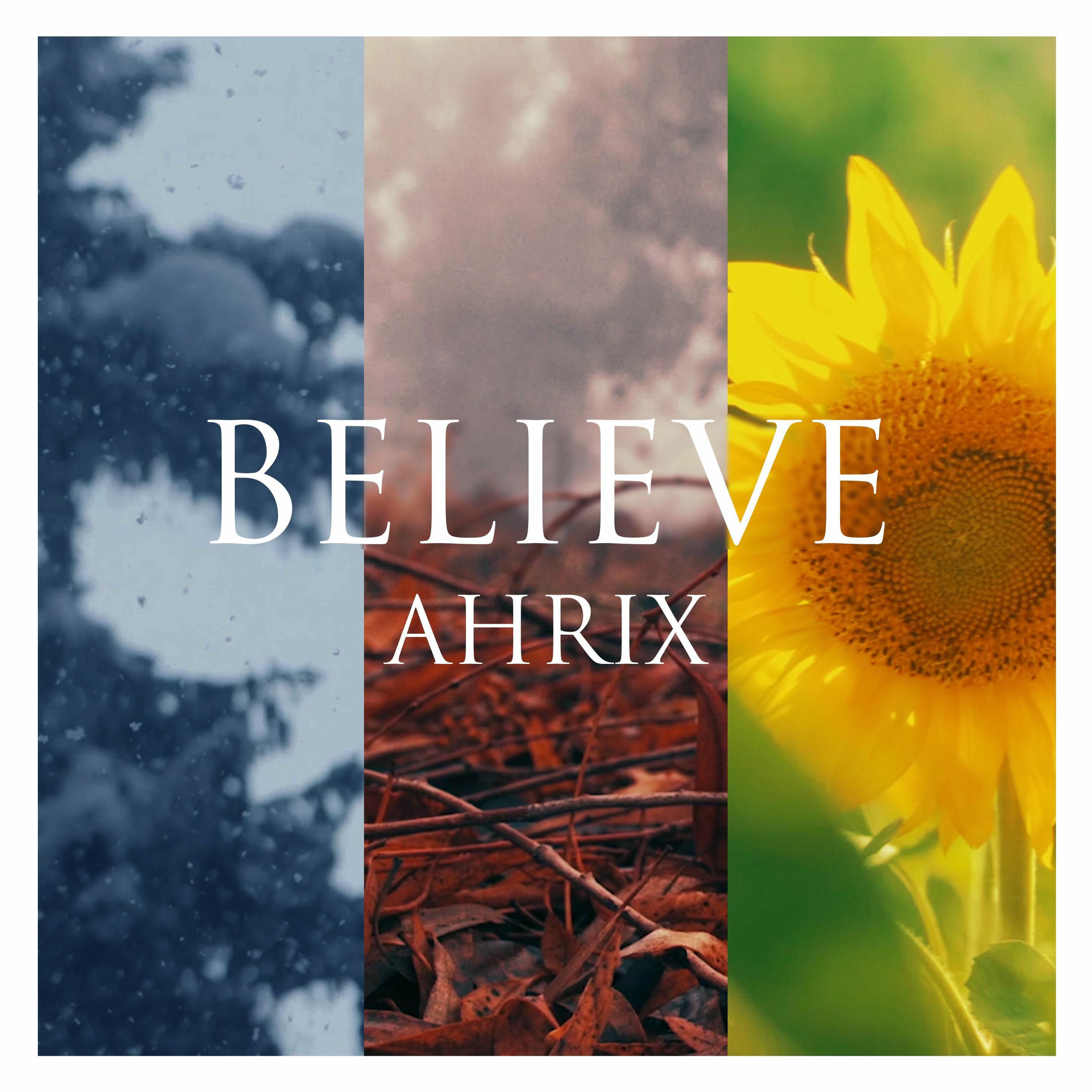Album cover of Believe