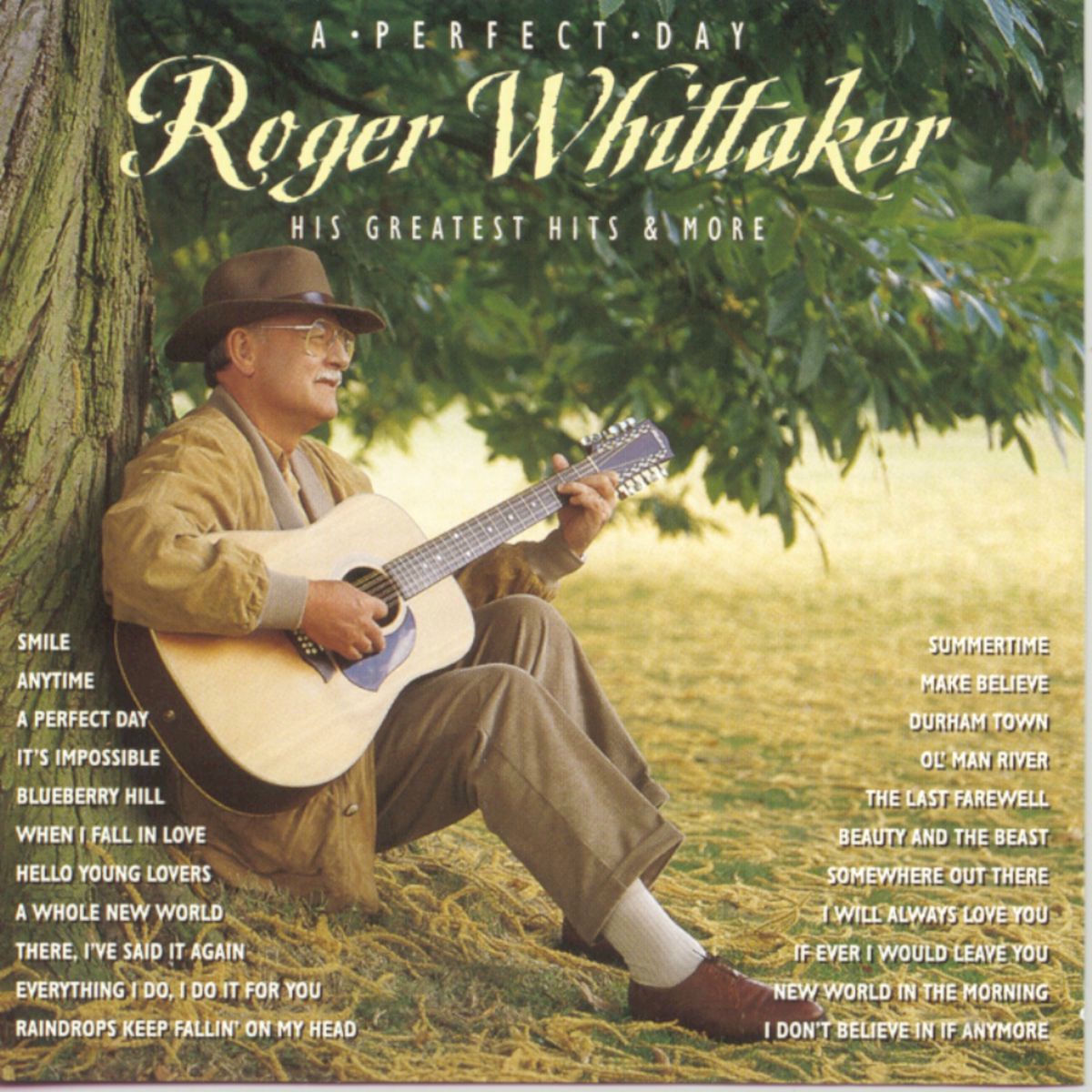 Album cover of Perfect Day