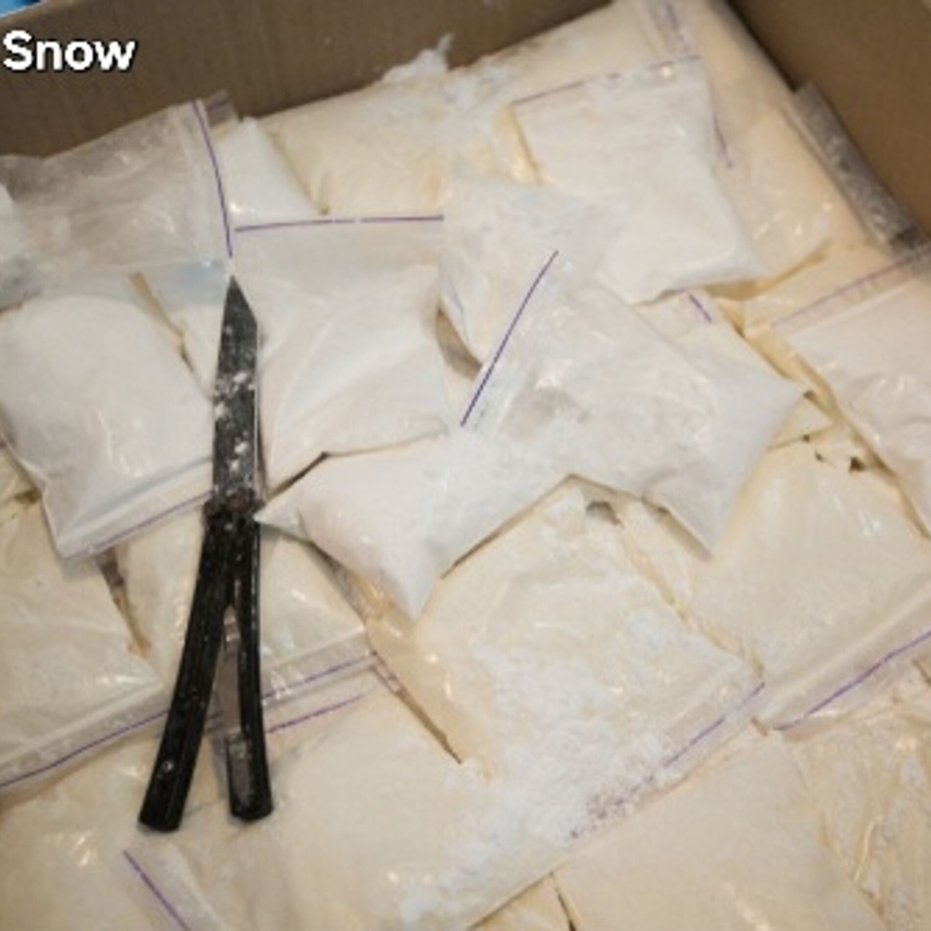 Album cover of Snow