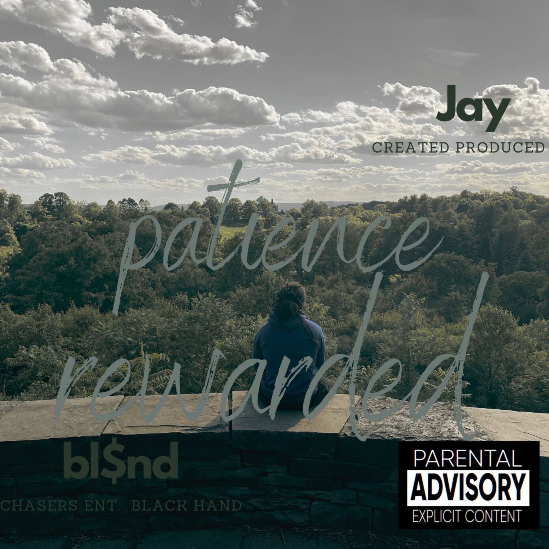 Album cover of Patience rewarded