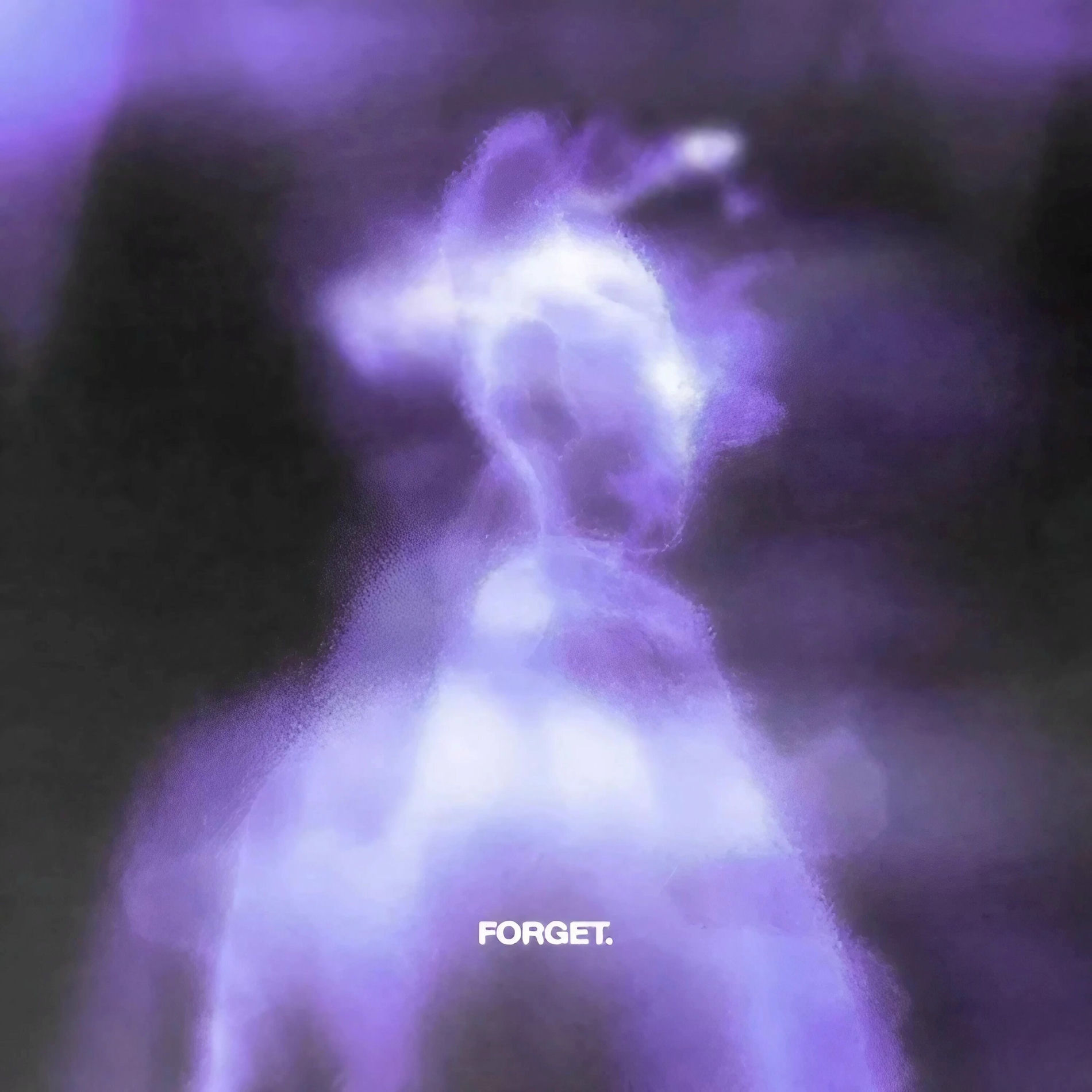 Album cover of Forget