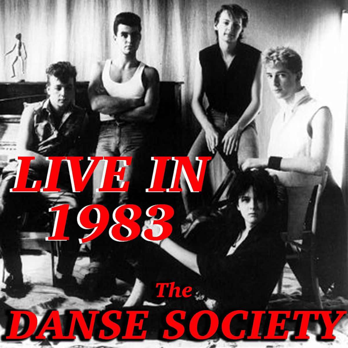洋楽 THE DANSE SOCIETY The Danse Society – Looking Through – Vinyl (LP, Album