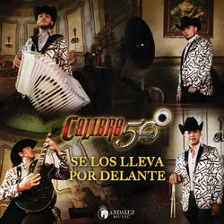 Cover of Se Los Lleva Por Delante