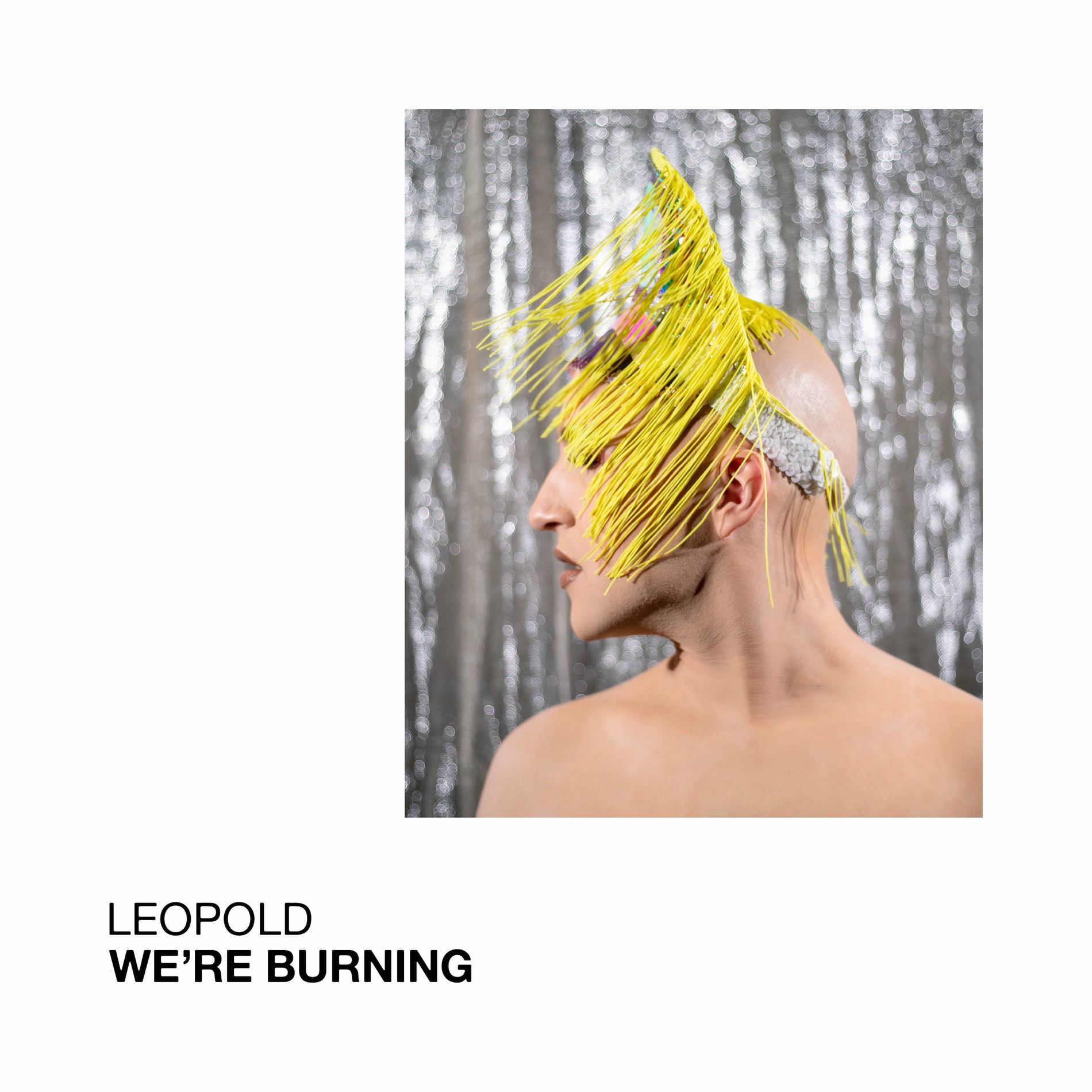Album cover of We're Burning
