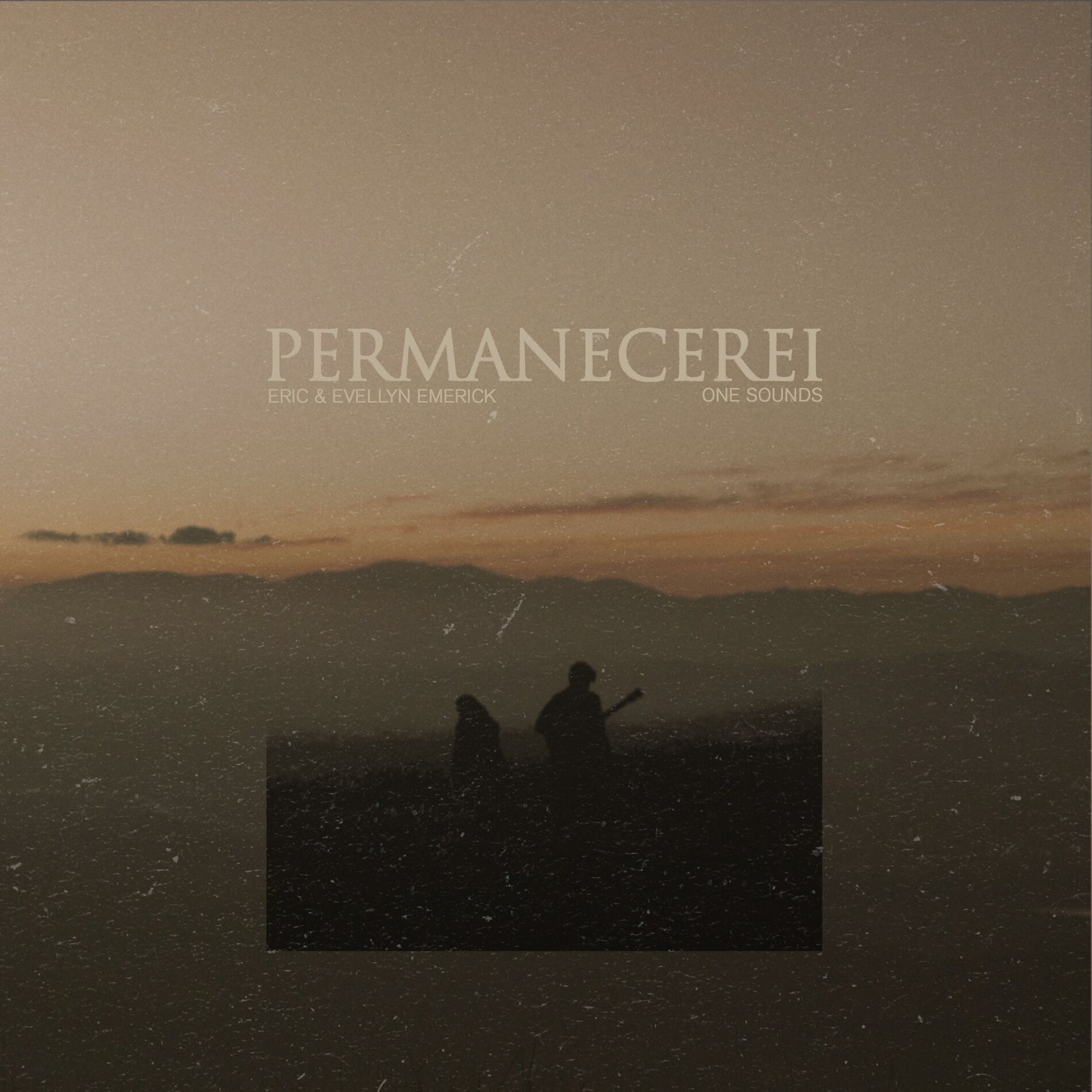 Album cover of Permanecerei