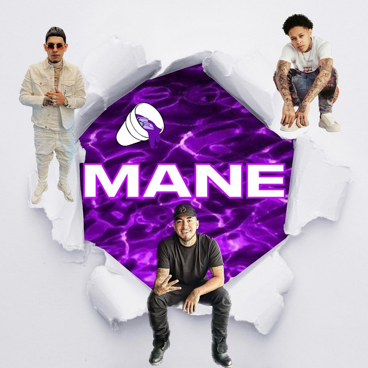 Album cover of Mane