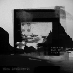 Cover of Shake the Spot