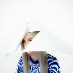 Cover of Poppy.Computer