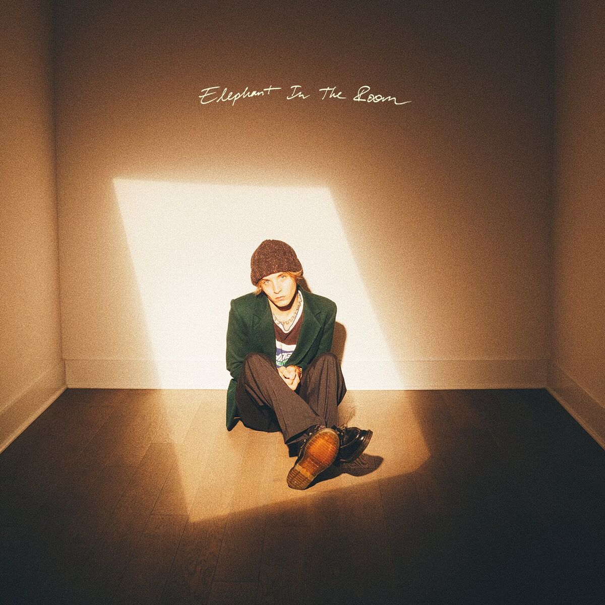 Album cover of Elephant In The Room