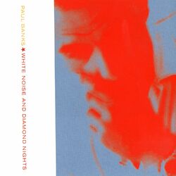 Cover of White Noise And Diamond Nights