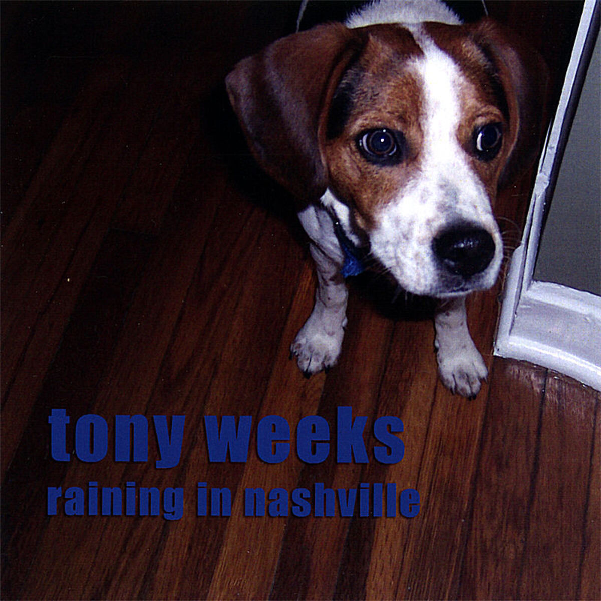 Album cover of Raining in Nashville