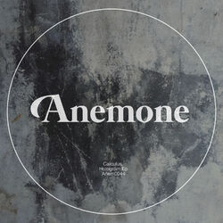 Cover of Hologram Ep