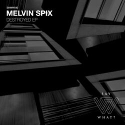 Cover of Destroyed