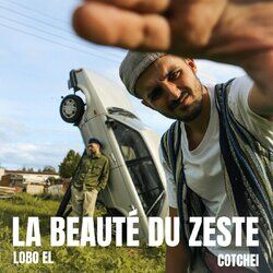 Cover of La beauté du zeste