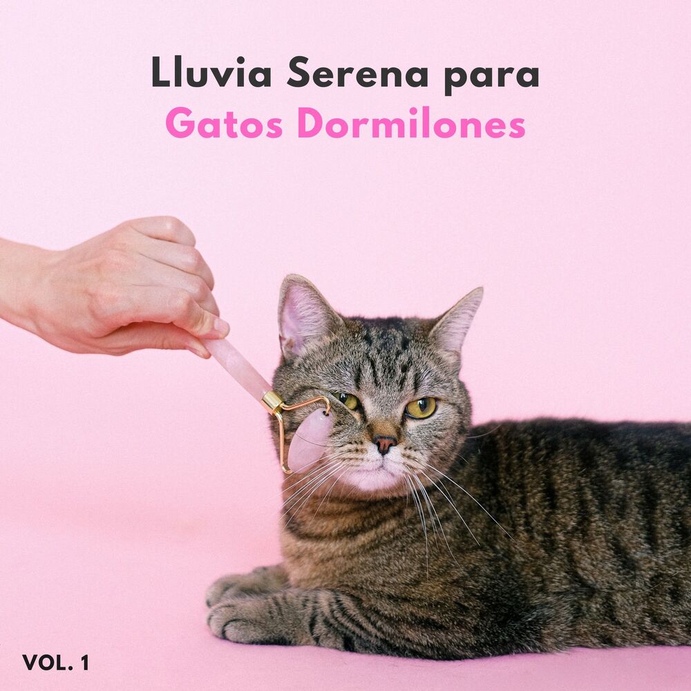 Picture of Lluvia Serena Para Gatos Dormilones Vol. 1