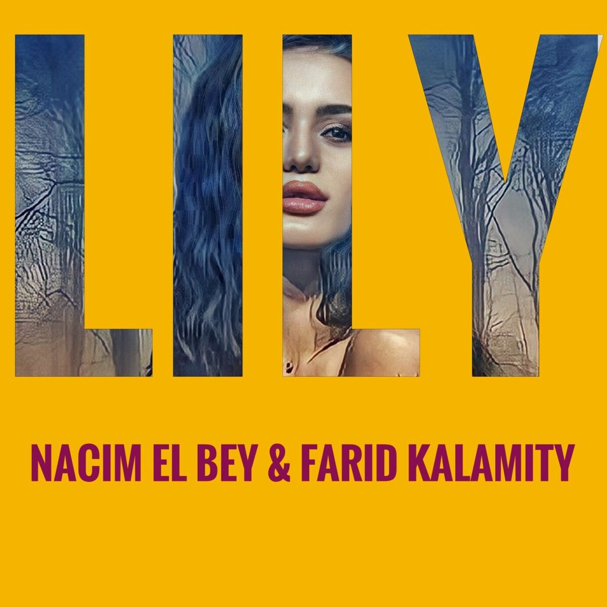 Album cover of LILY