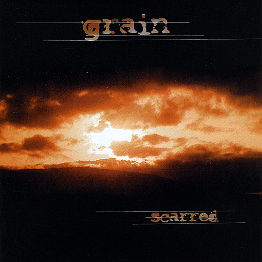 Picture of Scarred