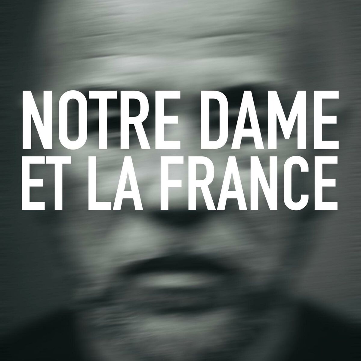 Album cover of Notre Dame et la France