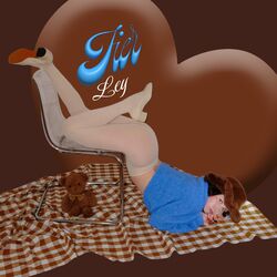 Cover of Fier