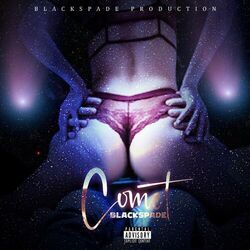 Cover of Comet