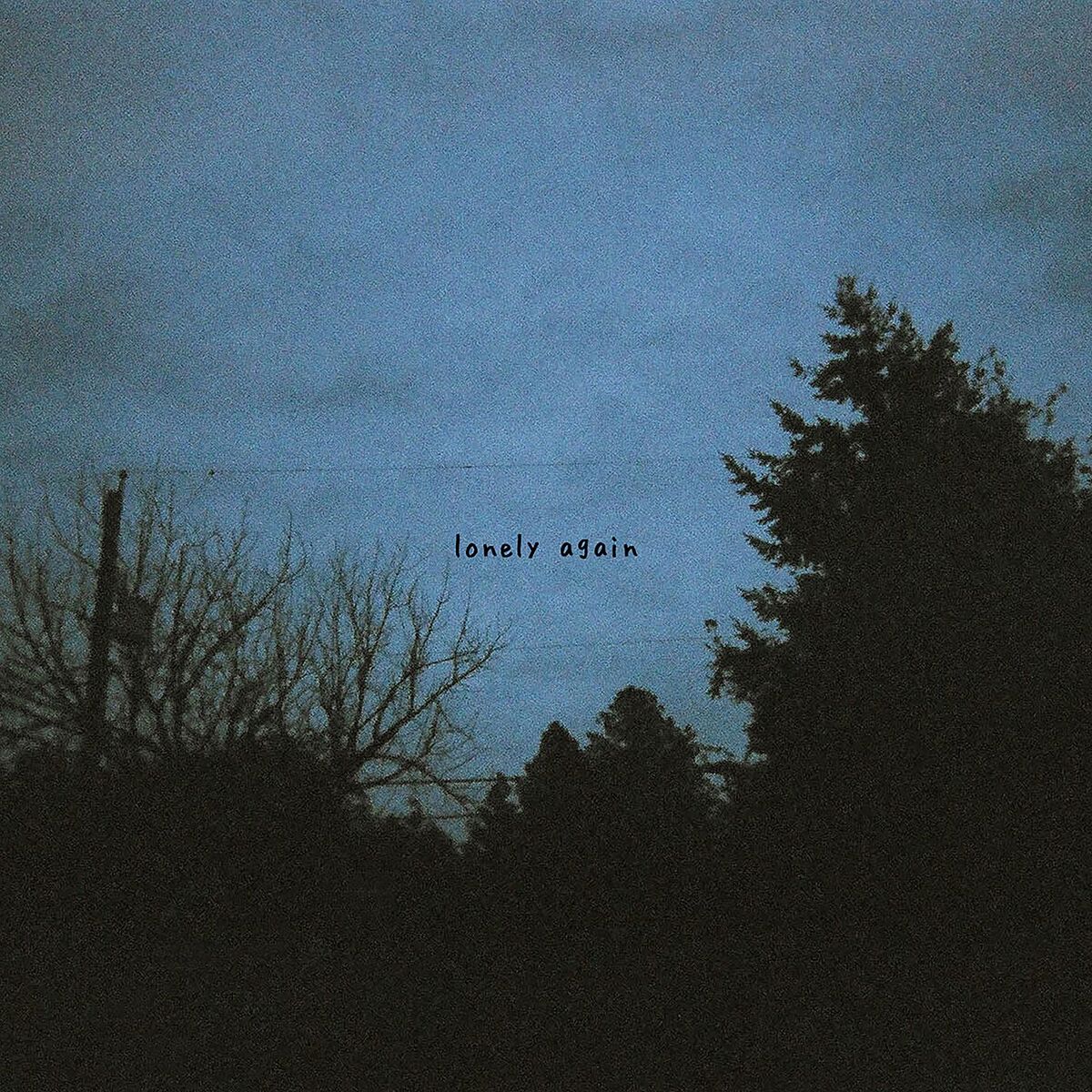 Album cover of lonely again
