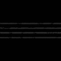 Cover of Bird