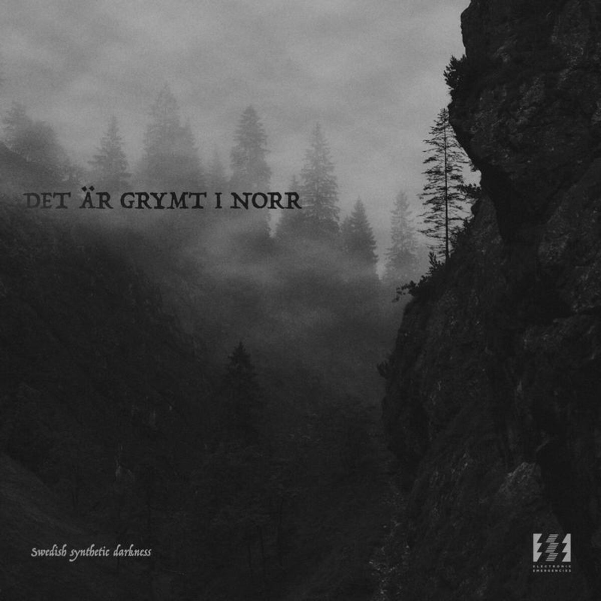 Album cover of Det Ar Grymt I Norr