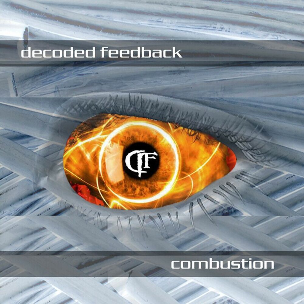 Picture of Combustion