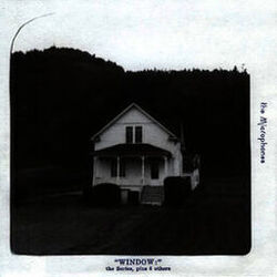 Cover of Window: